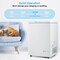 Compact Freestanding Chest Freezer with Removable Storage Basket